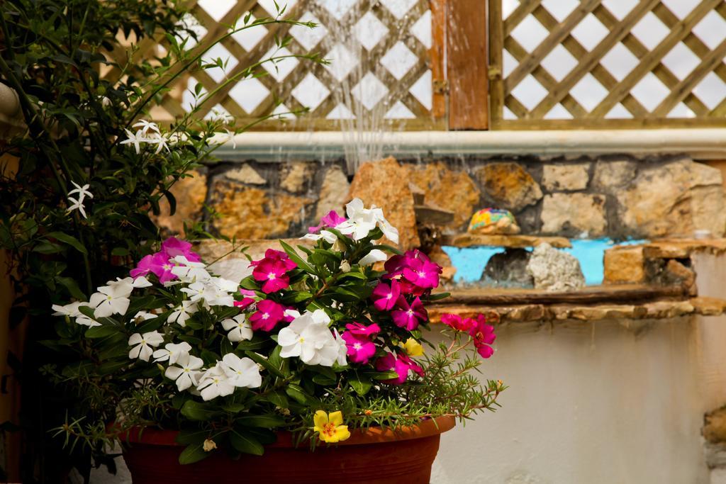Bonjour Bed and Breakfast Morciano di Leuca Exteriör bild