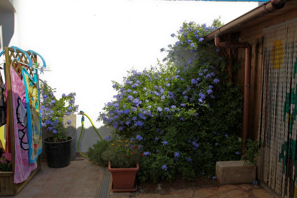 Bonjour Bed and Breakfast Morciano di Leuca Rum bild